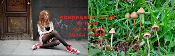 ALPHA PVP Волоколамск